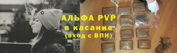 стафф Алагир