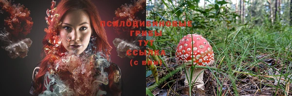 стафф Алапаевск